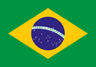 Brazil Presidential Election card icon